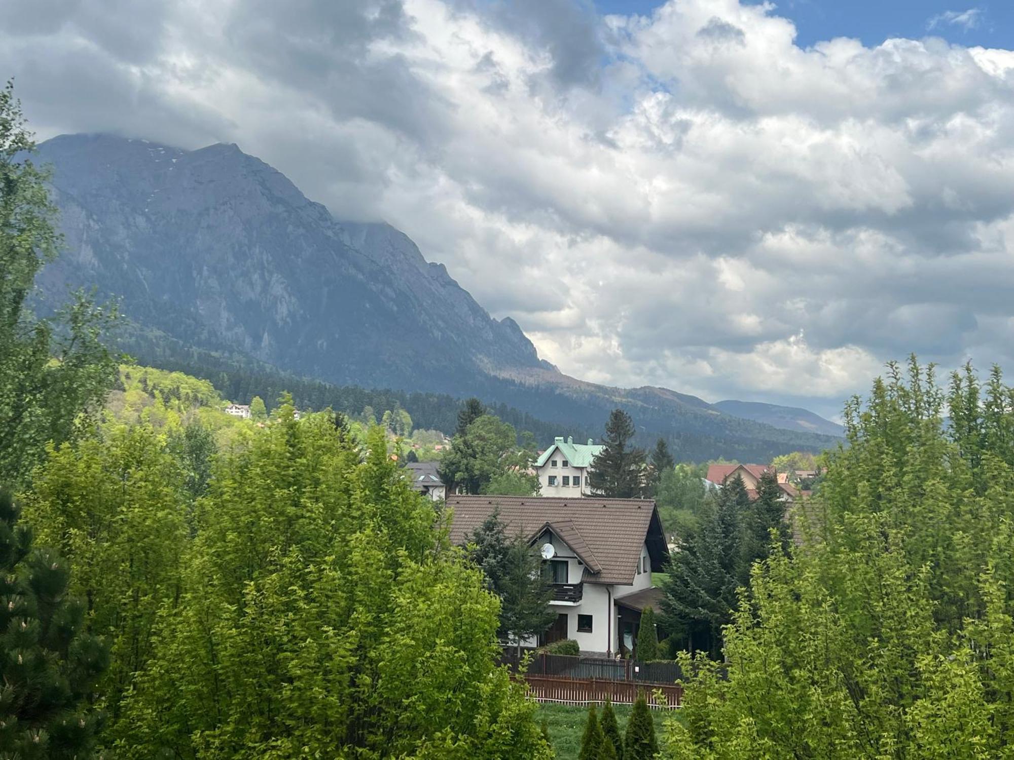 Poiana Tapului Wine Cellar Villa With Beautiful Garden In Sinaia - Busteni מראה חיצוני תמונה