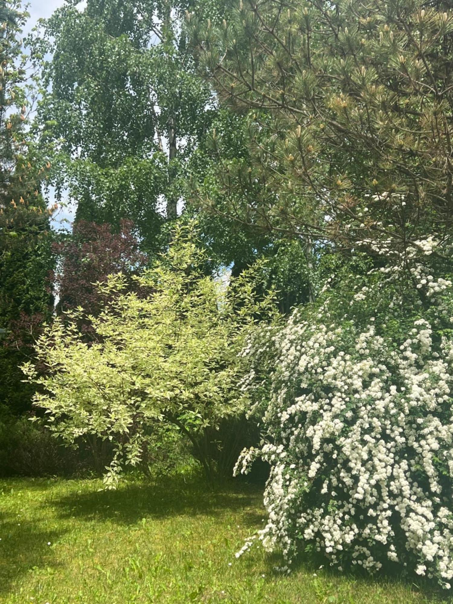 Poiana Tapului Wine Cellar Villa With Beautiful Garden In Sinaia - Busteni מראה חיצוני תמונה