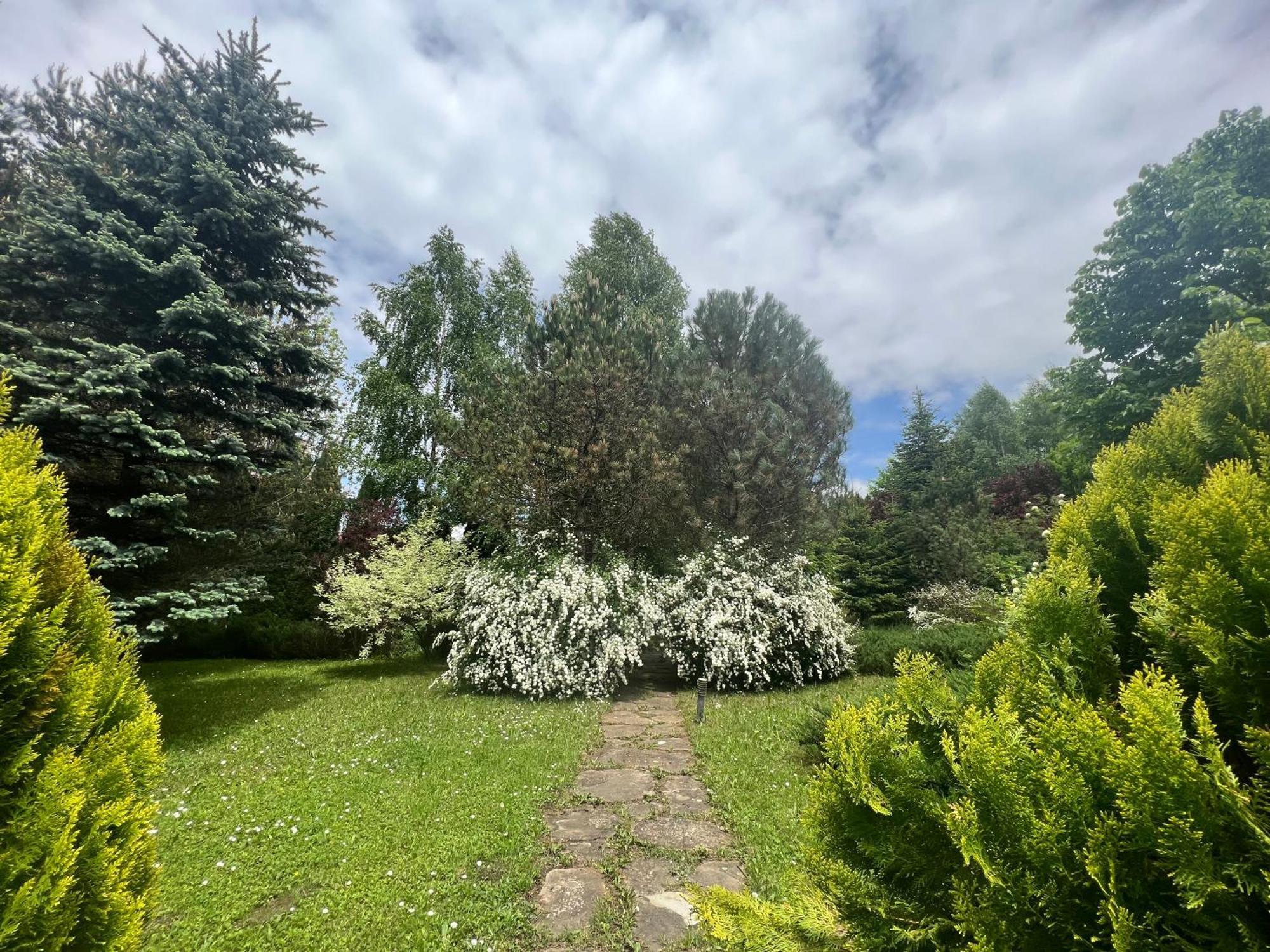 Poiana Tapului Wine Cellar Villa With Beautiful Garden In Sinaia - Busteni מראה חיצוני תמונה