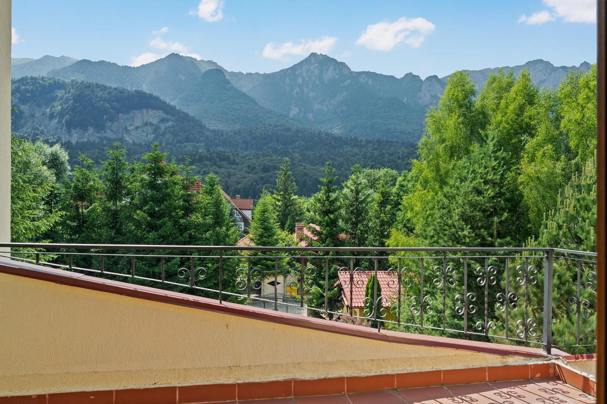 Poiana Tapului Wine Cellar Villa With Beautiful Garden In Sinaia - Busteni מראה חיצוני תמונה