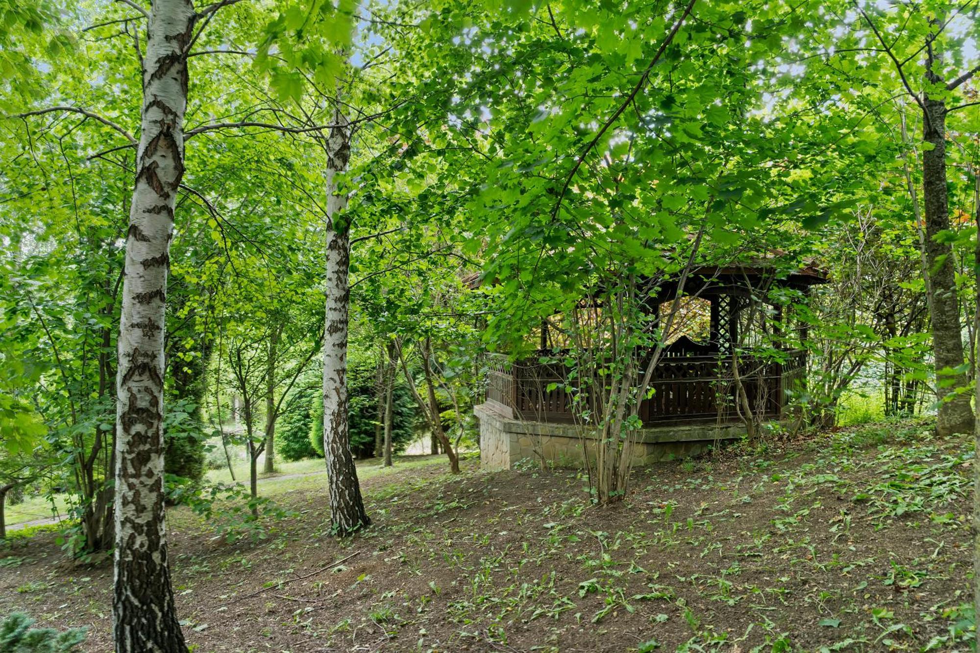 Poiana Tapului Wine Cellar Villa With Beautiful Garden In Sinaia - Busteni מראה חיצוני תמונה