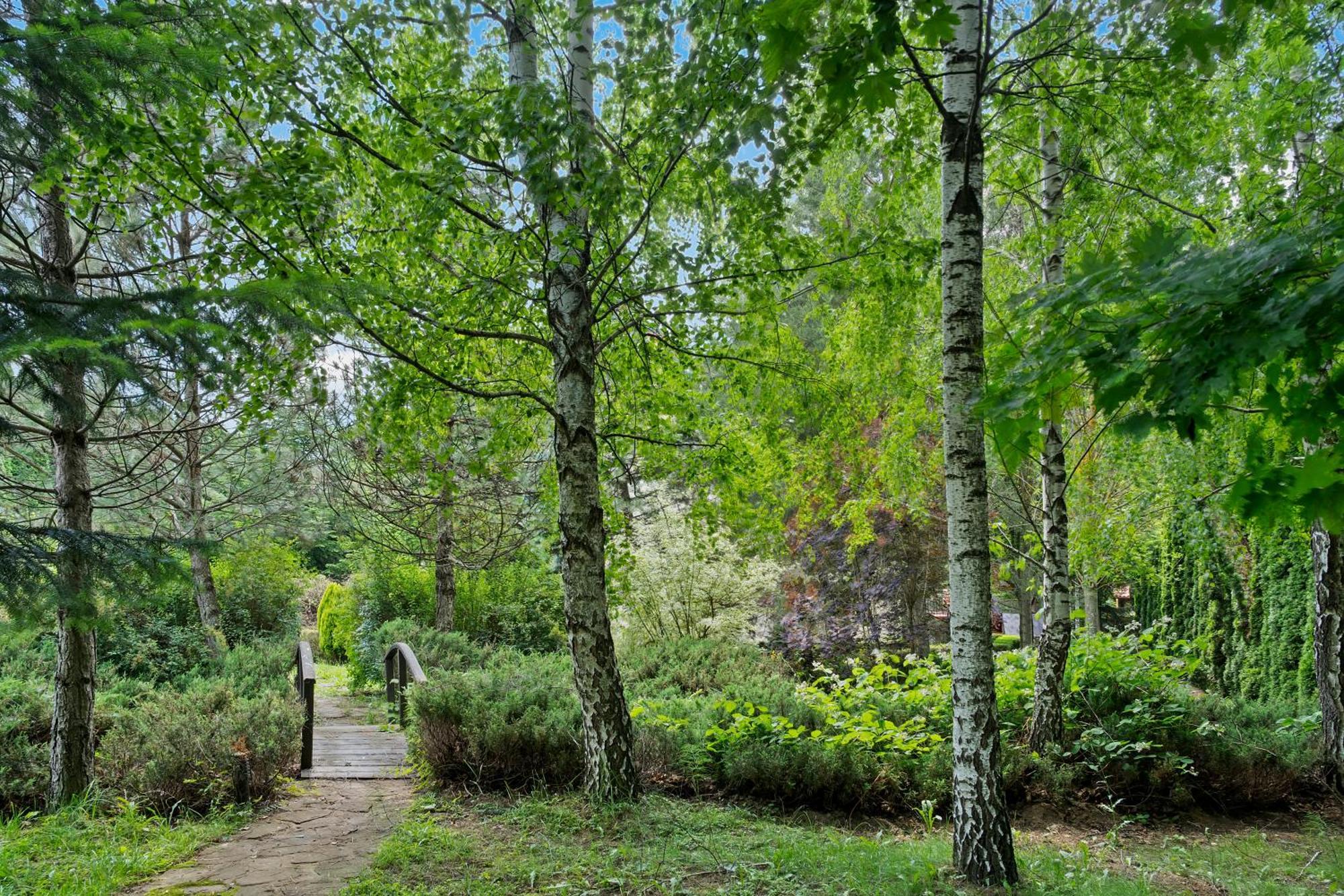 Poiana Tapului Wine Cellar Villa With Beautiful Garden In Sinaia - Busteni מראה חיצוני תמונה