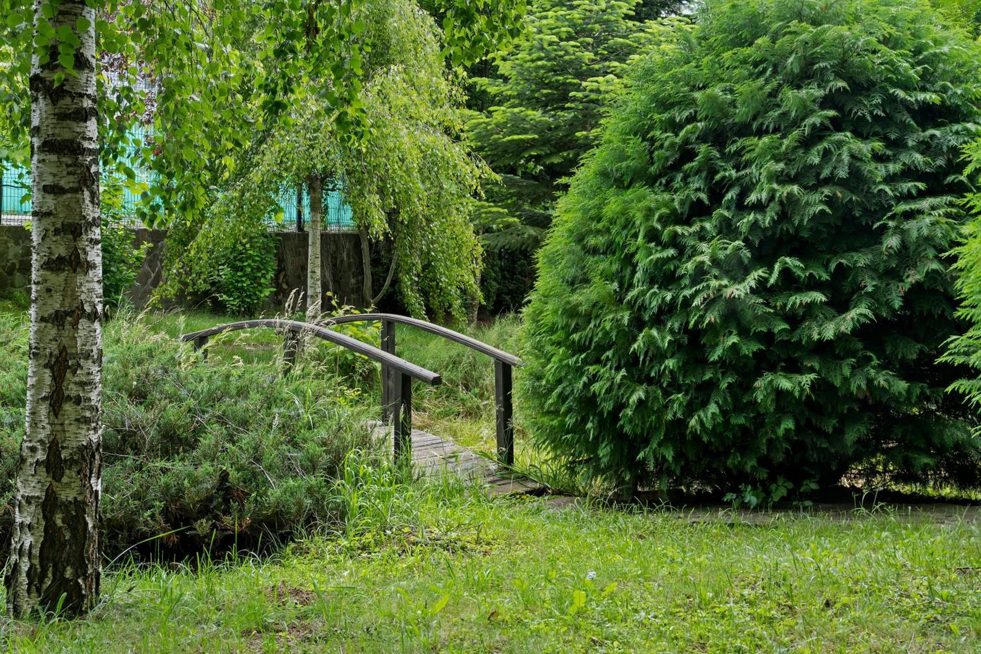 Poiana Tapului Wine Cellar Villa With Beautiful Garden In Sinaia - Busteni מראה חיצוני תמונה